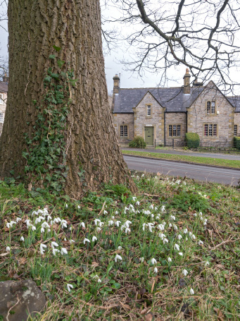 Wensley village